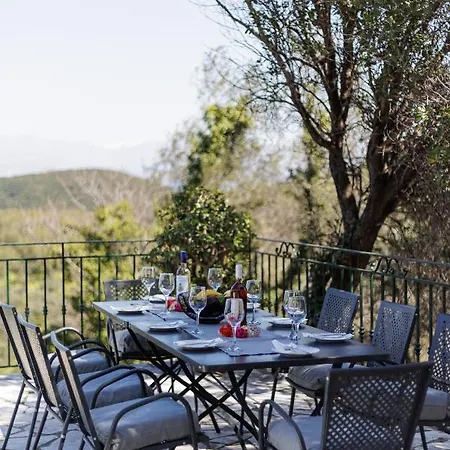 Anemelia By Rodostamo Collection *